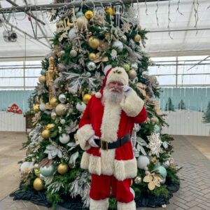 Photos with Santa