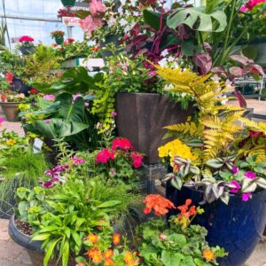 Wine & Design – Container Garden Workshop