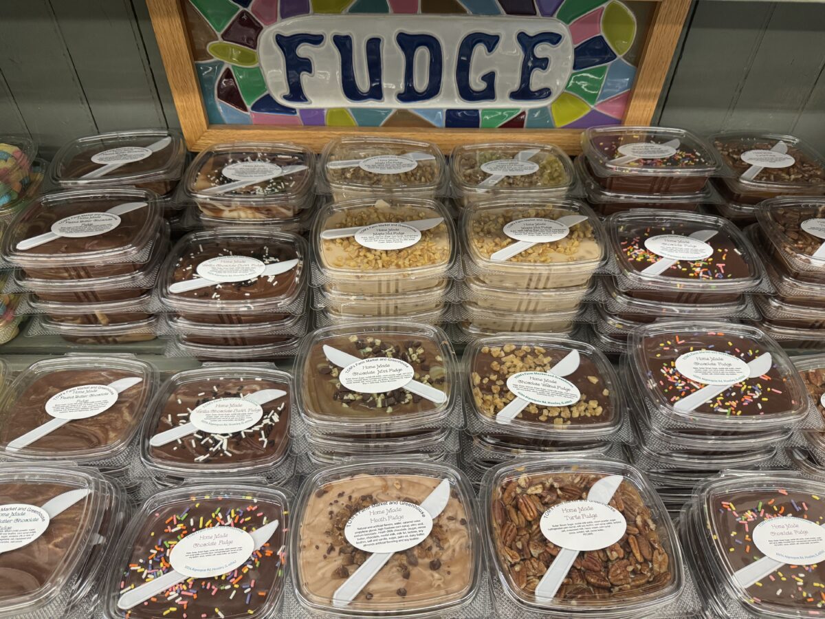  2022/04/Fudge-scaled.jpg 