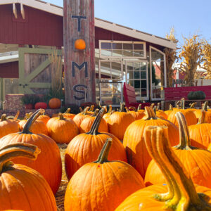 FALL on the Farm