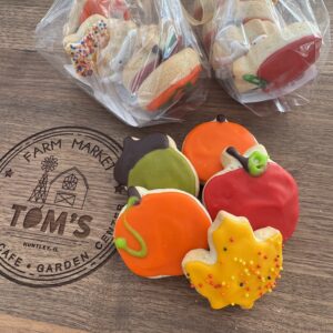 Cookies - Mini Gluten Friendly Decorated Sugar Cookies