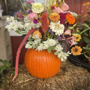 TOM’S  Fresh Flower Pumpkin Experience