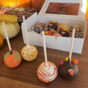 Cake Pops - Thanksgiving Chocolate