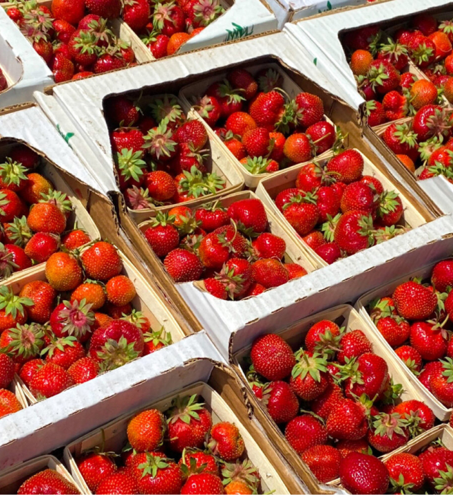 Boxes of strawberries