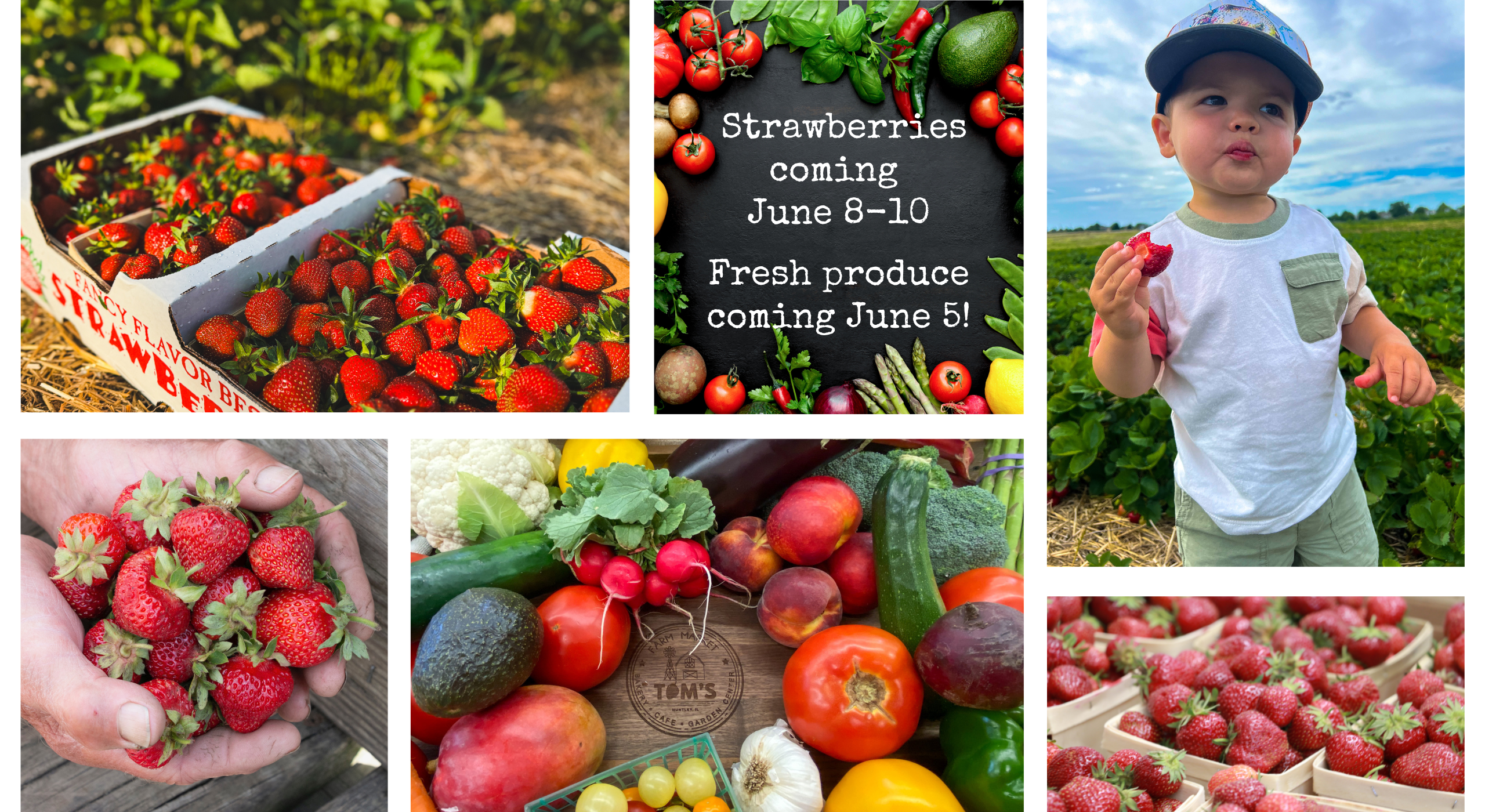 2026/06/Strawberries-coming-June-8-10-Fresh-produce-coming-June-5.png